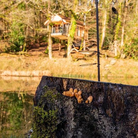 Germansweek Finest Retreats - The Tree House - Eco-Friendly, Back To Nature Experience מראה חיצוני תמונה