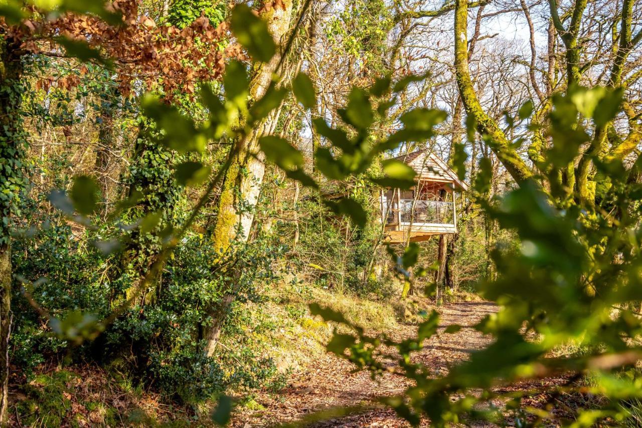 Germansweek Finest Retreats - The Tree House - Eco-Friendly, Back To Nature Experience מראה חיצוני תמונה